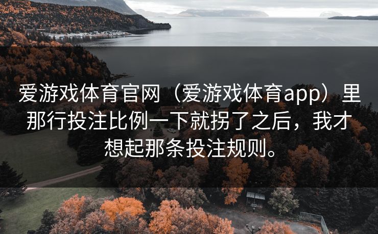 爱游戏体育官网（爱游戏体育app）里那行投注比例一下就拐了之后，我才想起那条投注规则。
