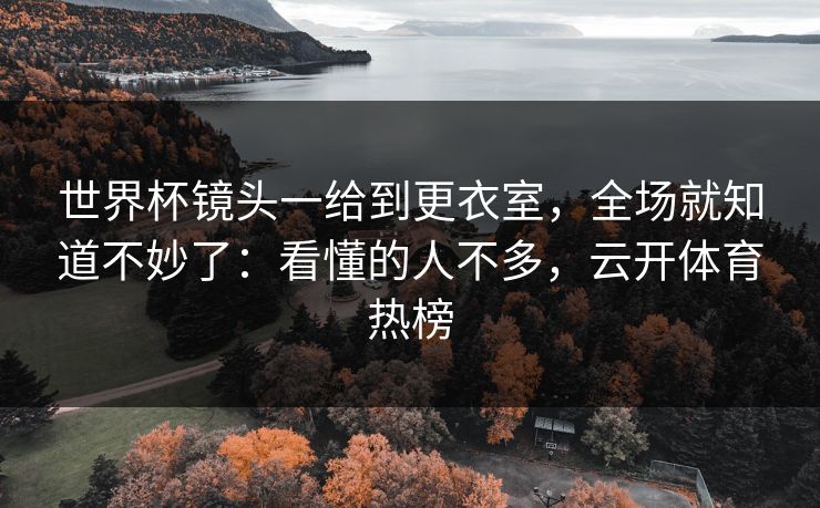 世界杯镜头一给到更衣室，全场就知道不妙了：看懂的人不多，云开体育热榜
