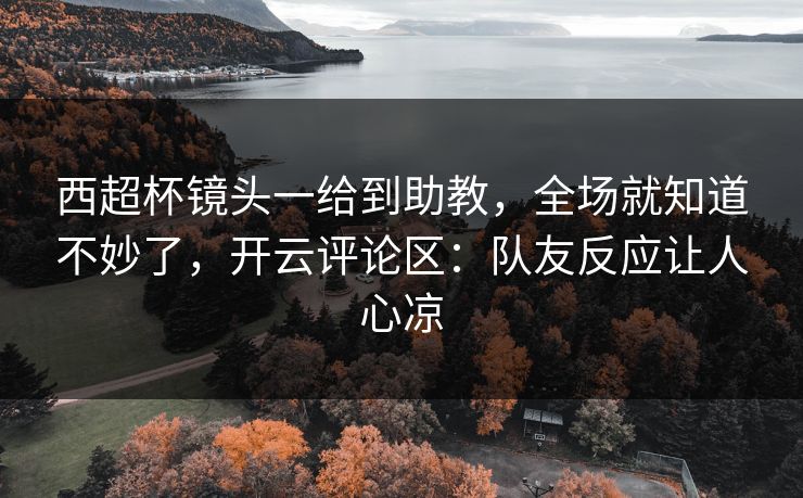 西超杯镜头一给到助教，全场就知道不妙了，开云评论区：队友反应让人心凉